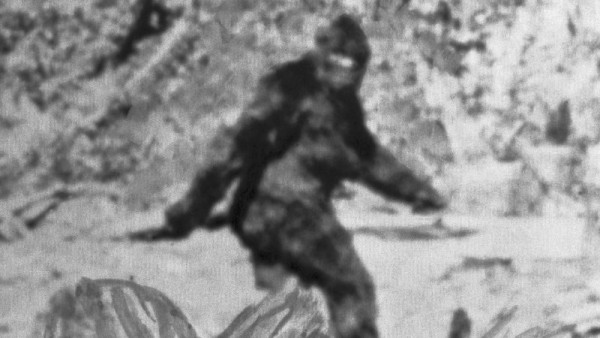 Bigfoot-517258962[1].jpg