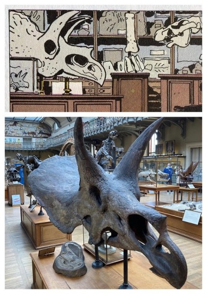 Triceratops-ish.jpeg