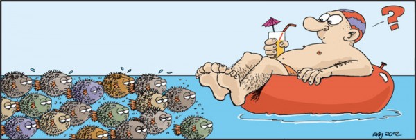 fish1234.jpg